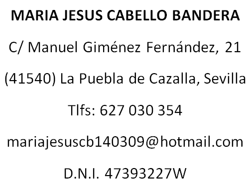 CloudGestión, el programa de facturación fácil para la pequeña empresa y el autónomo. Por Código con Sentido